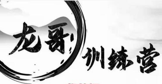【龙哥】《龙聚首训练营第四期》网盘课程下载-爱雅微课