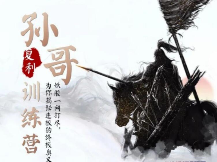 【孙哥】《孙哥复利训练营,妖股一网打尽,揭秘连板的终极奥义》网盘课程下载-爱雅微课