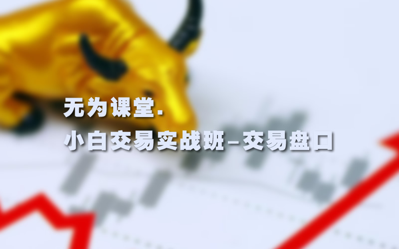 【无为】《小白交易实战班:交易盘口》网盘课程下载-爱雅微课