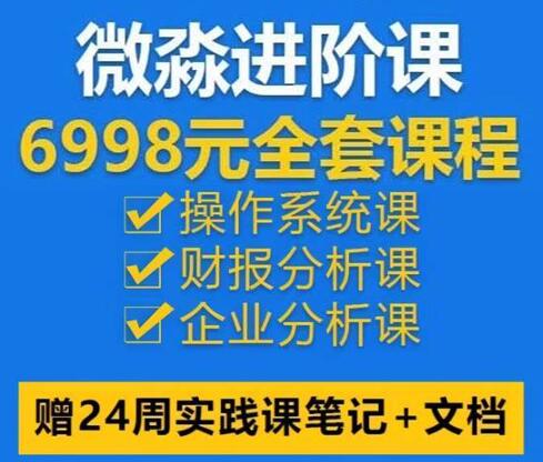 【微淼商学院】原价6998元的《微淼操作系统课+财报分析课+企业分析课》网盘课程下载-爱雅微课
