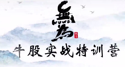 【无为】《无为学院(李栋、傅刚)牛股实战特训营18节》网盘课程下载-爱雅微课