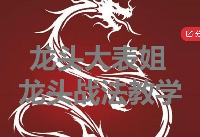 【龙头大表姐】《龙头战法教学》龙头战法视频教程-爱雅微课