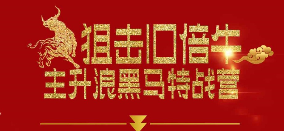 【一刀战法】《刀哥主升浪黑马特战营》网盘课程下载-爱雅微课