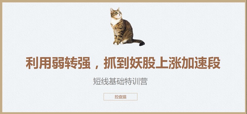 【控盘猫】《控盘猫短线基础特训营,控盘猫翻倍计划》网盘课程下载-爱雅微课