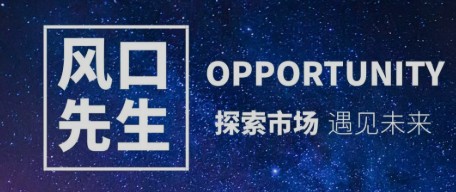 【风口先生】悟道阁小圈子文档网盘课程资料-爱雅微课
