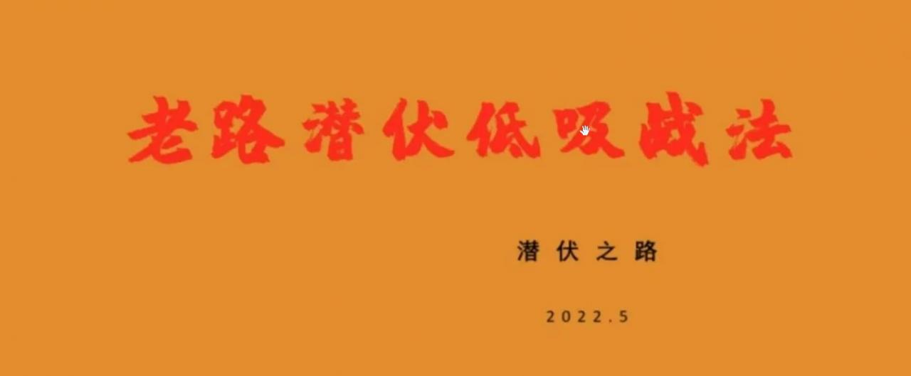 【老路】《潜伏低吸战法》股票低吸潜伏战法炒股教程视频-爱雅微课