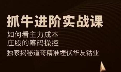【道哥】《道哥抓牛进阶实战课》网盘课程下载