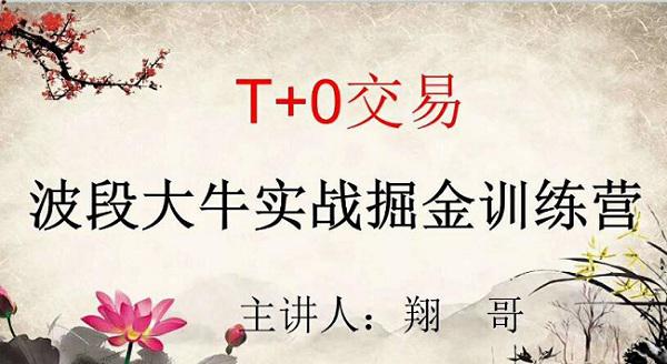 【翔哥】《擒龙T+0波段大牛实战掘金训练营》网盘课程下载-爱雅微课