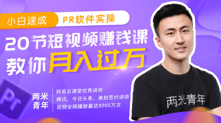 两米青年《小白速成PR软件实操:20节短视频赚钱课,教你月入过万》