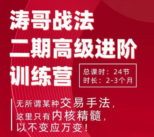 【涛哥】《涛哥连板龙头接力战法高级进阶训练营 二期》网盘课程下载-爱雅微课