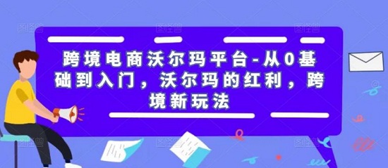 【David】跨境电商沃尔玛平台-从0基础到入门,沃尔玛的红利,跨境新玩法!-爱雅微课
