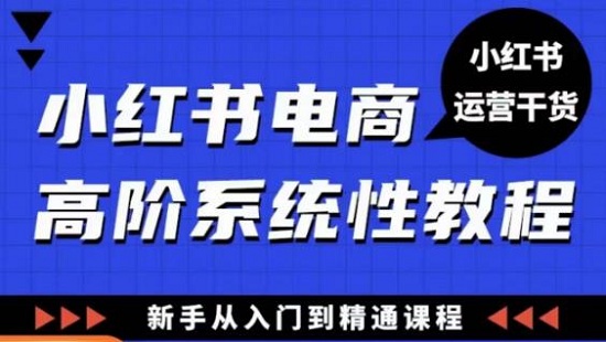 【小毅哥】小红书电商高阶系统教程,新手从入门到精通系统课!-爱雅微课
