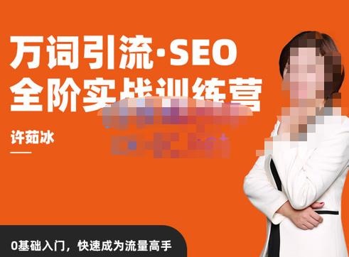 【许茹冰】万词引流-SEO全阶实战训练营，0基础入门，快速成为流量高手！-爱雅微课