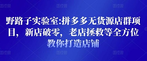 野路子实验室《拼多多无货源店群项目》