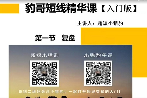 【豹哥】《豹哥短线精华课入门版 12集》网盘课程下载-爱雅微课