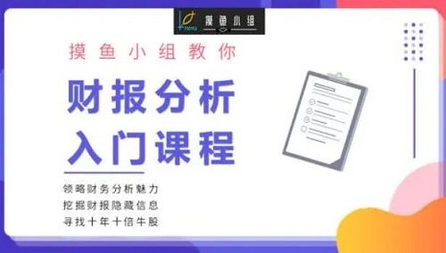 【摸鱼小组】《财报分析课程》网盘课程下载-爱雅微课