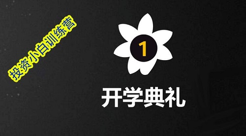 【林奇】《投资小白训练营》网盘课程下载-爱雅微课