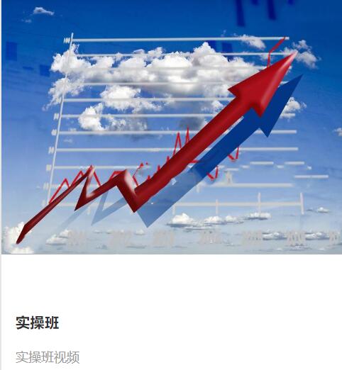 【赵心纯】《赵心纯走进殿堂 实操班视频》网盘课程下载-爱雅微课