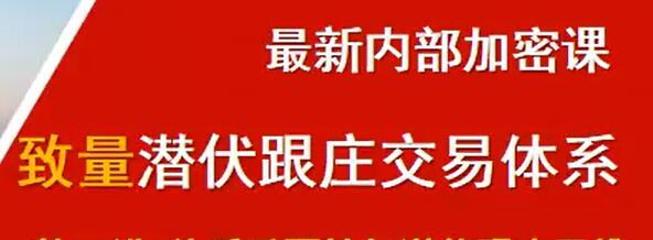【期海】《致量潜伏跟庄交易体系》网盘课程下载-爱雅微课