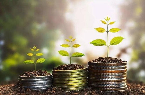 蚂蚁基金是什么,蚂蚁基金是什么意思啊?-爱雅微课