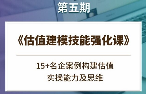 【CareerBuddy】《估值建模技能强化课 第五期》网盘课程下载-爱雅微课