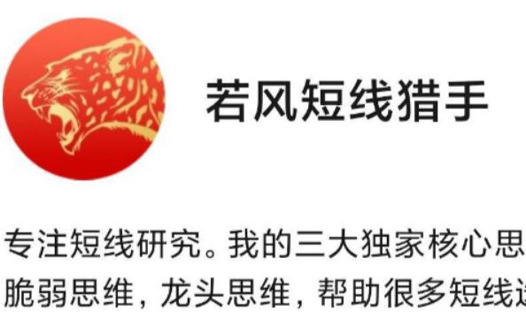 【若风】《龙头的黄金博弈短训营》网盘课程下载-爱雅微课