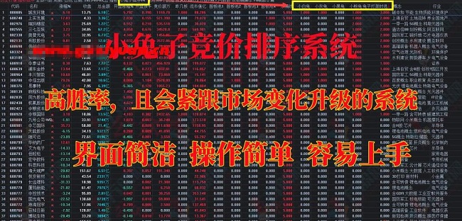 【小兔子】《竞价V4排序首版升级通达信系统 兔子竞价首板电脑版软件》网盘课程下载-爱雅微课