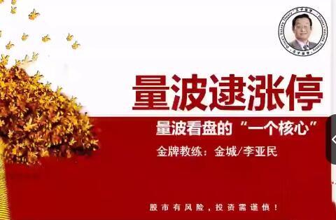 【量学大讲堂】《金城李亚民量学擒龙伏击龙头第36期段位课13量波》网盘课程下载-爱雅微课