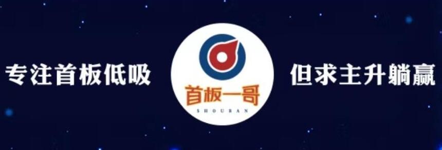【首板一哥】《首板一哥视频课程》网盘课程下载-爱雅微课