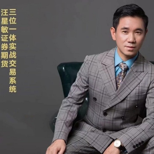 【汪星敏】《汪星敏的思维进阶课程》网盘课程下载-爱雅微课