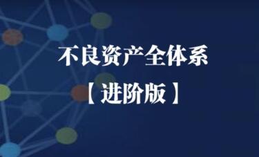 【法询金融】《不良资产全体系 进阶版》网盘课程下载-爱雅微课