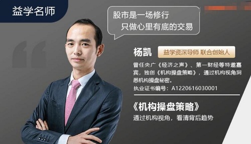 【益学智】《杨凯:机构操盘策略 2022.11-2023.10 一年期》网盘课程下载-爱雅微课