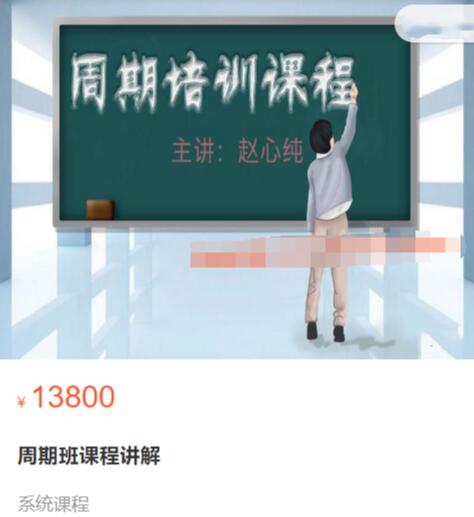 【赵心纯】原价13800元的《走进殿堂：周期班课程讲解》网盘课程下载-爱雅微课