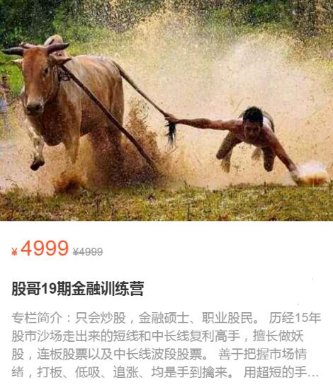 【只会炒股】原价4999元的《只会炒股股哥19期金融训练营》网盘课程下载-爱雅微课