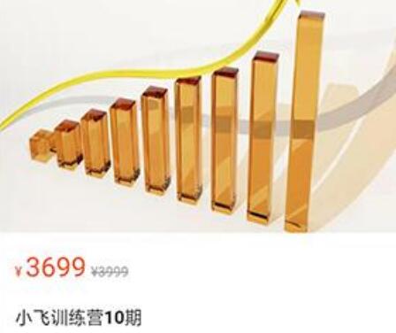 【小飞】原价3699元的《小飞训练营 第10期》网盘课程下载-爱雅微课