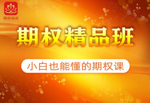 【顿修】《期权精品班 小白也能懂的期权课》网盘课程下载-爱雅微课