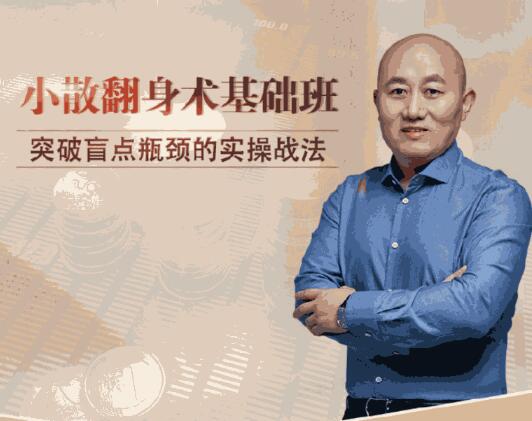 【溪流竹海】《王宗峰-小散翻身术基础班 8视频》网盘课程下载-爱雅微课