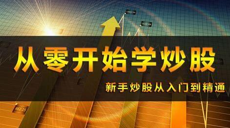 《0基础炒股入门视频教程》网盘课程下载