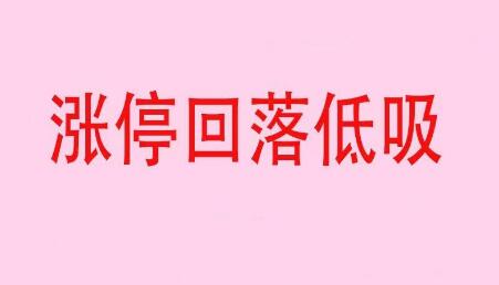 《涨停回落低吸战法》网盘课程下载