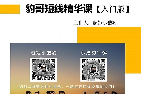 【超短小猎豹】《豹哥短线精华课入门版》网盘课程下载-爱雅微课