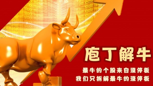 【李晓光】《李晓光庖丁解牛，经典涨停牛股综合剖析》网盘课程下载