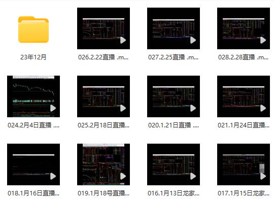 【龙行刺】《龙空龙 龙家军最新2023年12月到2024年2月底 视频 24个》网盘课程下载