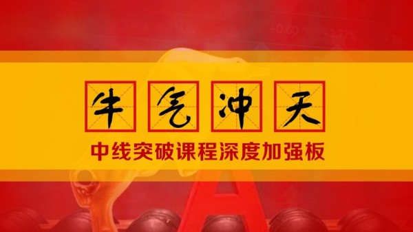 【李晓光】《李晓光 牛气冲天中线突破课程深度加强板 视频课程36集》网盘课程下载