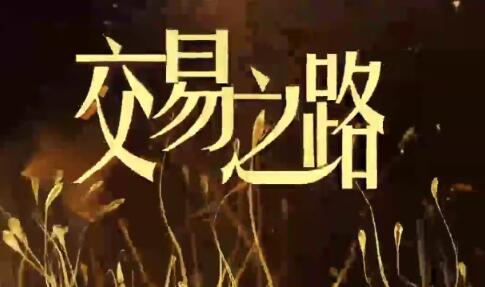 【陈凯】《陈凯诸葛就是不亮 交易之路初中高级视频往期》网盘课程下载