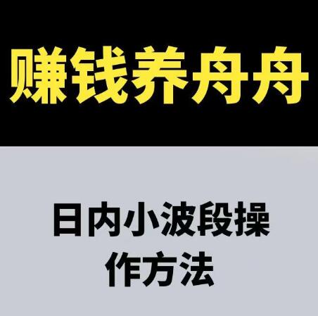 【赚钱养舟舟】《赚钱养舟舟 日内小波段操作方法 期货课程》网盘课程下载