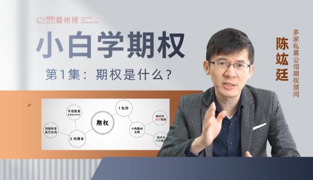 【策略星学院】《策略星学院从零开始学期权：基础课 视频+PDF 共20文件》网盘课程下载