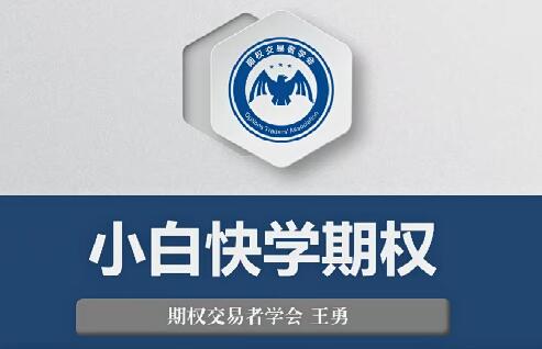 【王勇】《王勇 小白快学期权视频教程(9讲)》网盘课程下载