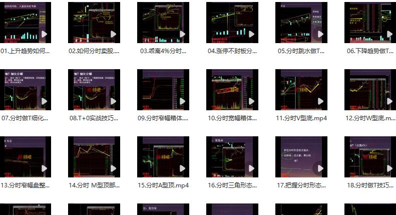 【龟股堂】《股票T+0实战秘籍 分时做T技巧 共32集》网盘课程下载