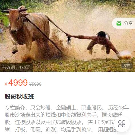 【只会炒股】原价4999元的《只会炒股2023年8-10月 股哥秋收班视频课程 共16视频》网盘课程下载