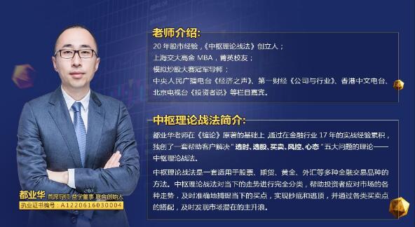 【都业华】《中枢理论战法 2024年中枢新系统课 视频+文档》网盘课程下载